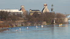 2011-01-16_Elbehochwasser_Magdeburg_17